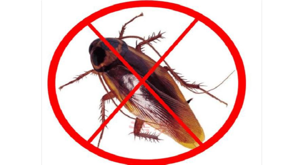 常見(jiàn)的衛(wèi)生殺蟲劑劑型（上篇）